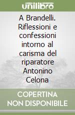 A Brandelli. Riflessioni e confessioni intorno al carisma del riparatore Antonino Celona libro