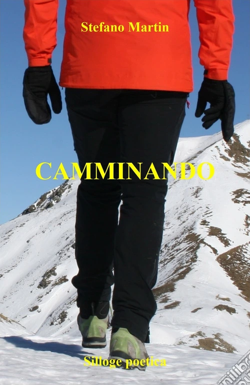 Camminando. Ediz. multilingue