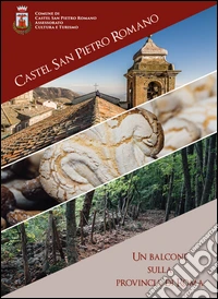Castel San Pietro Romano. Un balcone sulla provincia di Roma. Ediz. multilingue libro
