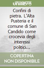 Confini di pietra. L'Alta Pusteria e il comune di San Candido come crocevia degli interessi politici internazionali, 1900-2000 libro