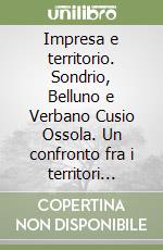 Impresa e territorio. Sondrio, Belluno e Verbano Cusio Ossola. Un confronto fra i territori della specificità montana libro