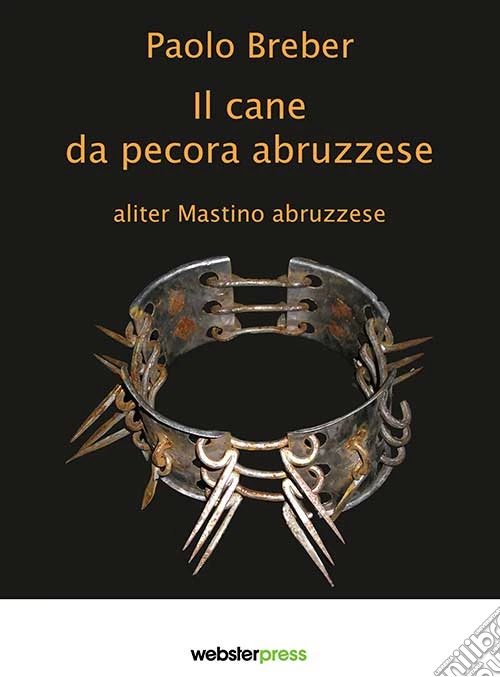 Il cane da pecora abruzzese
