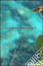 Le parole immaginate libro