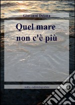 Quel mare non c'è più libro