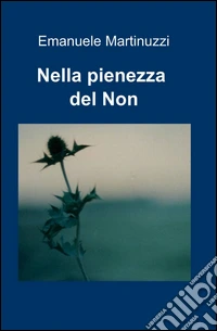Nella pienezza del Non