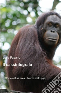 Il cassintegrale