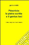 La pietra scritta e il genius loci libro