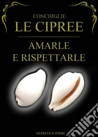 Conchiglie, le Cipree. Amarle e rispettarle
