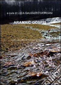 Nuovo testamento ebraico-francese libro