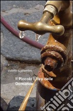 Il piccolo libro delle domande libro