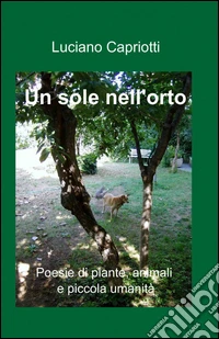 Un sole nell'orto