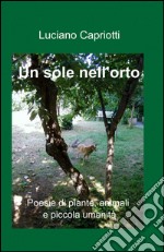 Un sole nell'orto libro