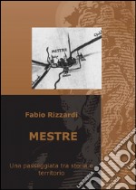 Mestre libro