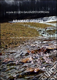 Nuovo testamento. Ediz. ebraica e francese libro