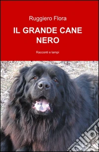 Il grande cane nero