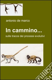 In cammino...