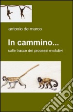 In cammino... libro