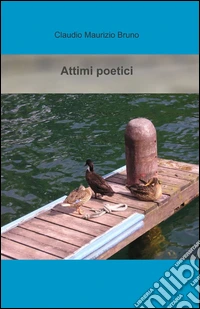 Attimi poetici