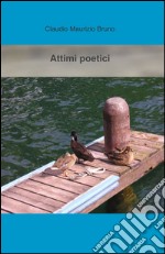 Attimi poetici libro