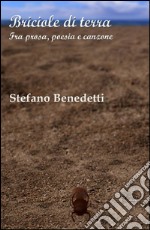 Briciole di terra libro