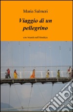 Viaggio di un pellegrino