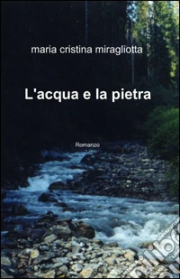 L'acqua e la pietra libro