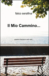 Il mio cammino... libro