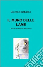 Il muro delle lame libro