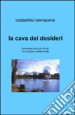 La cava dei desideri libro