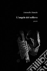 L'angelo del sollievo libro