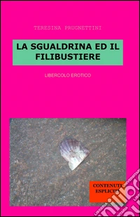 La sgualdrina ed il filibustiere libro
