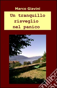 Un tranquillo risveglio nel panico libro