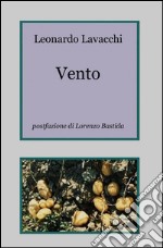 Vento libro