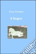 Il sogno libro