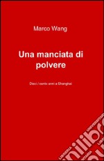 Una manciata di polvere libro