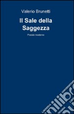 Il sale della saggezza libro