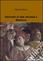 Souvenir di una vacanza a Mantova libro