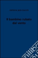 Il bambino rubato dal vento libro