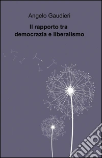 Il rapporto tra democrazia e liberalismo libro