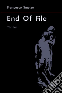 End of File. Un appuntamento su Facebook diventa un mistero che si intreccia con la vita del protagonista libro