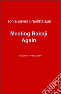 Meeting Babaji again