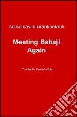 Meeting Babaji again