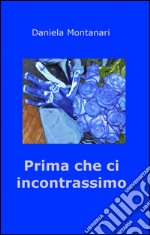 Prima che ci incontrassimo libro