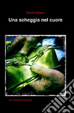 Una scheggia nel cuore libro