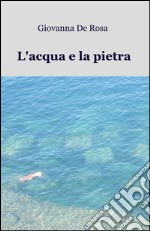 L'acqua e la pietra libro