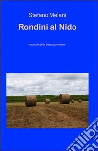 Rondini al nido