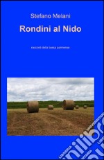 Rondini al nido libro