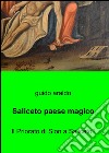 Saliceto paese magico libro