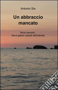 Un abbraccio mancato libro