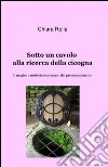 Sotto un cavolo alla ricerca della cicogna libro